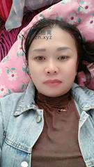 葫芦岛眼镜小猫咪