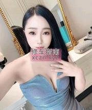 过年不回家的小海豹