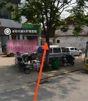 阜阳站街扫街 200