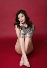 kitty（南岸区炮架）