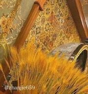 威海推油推荐 400