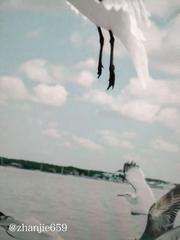 周口探店足疗扫街 299