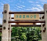 济南森林公园验证