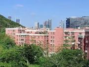 珠海横琴下村扫街