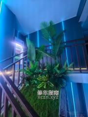 大F胸清新的兔兔